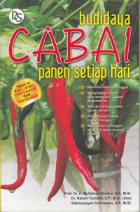 Budidaya Cabai Panen Setiap Hari