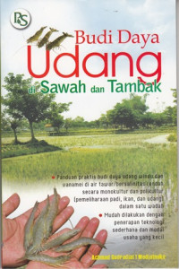 Budi Daya Udang Di Sawah Dan Tambak