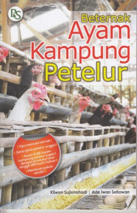 Beternak Ayam Kampung Petelur