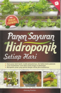 Panen Sayuran Hidroponik Setiap Hari