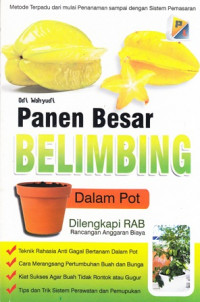 Panen Besar Belimbing Dalam Pot