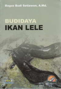 Budidaya Ikan Lele