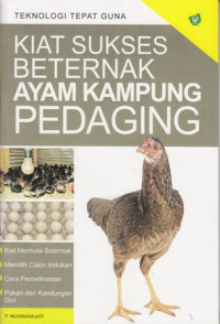 Kiat Sukses Beternak Ayam Kampung Pedaging