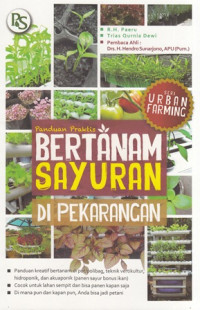 Panduan Praktis Bertanam Sayuran Di Pekarangan