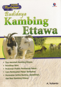 Budidaya Kambing Ettawa