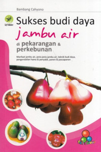 Sukses Budi Daya Jambu Air Di Pekarangan & Perkebunan