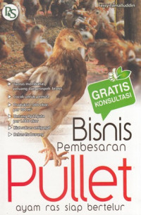 Bisnis Pembesaran Pullet : Ayam Ras Siap telur