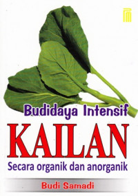 Budidaya Intensif Kailan Secara Organik dan Organik