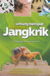 Untung Berlipat dari Ternak Jangkrik