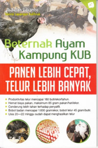 Beternak Ayam Kampung KUB: Panen Lebih Cepat Telur Lebih Banyak