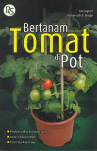 bertanamam tomat di pot