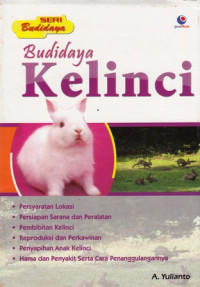 budidaya kelinci