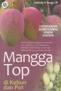 Mangga Top Di Kebun Dan Pot