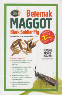 Beternak Maggot Black Soldier Fly