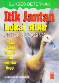 Sukses Beternak Itik Jantan Lokal Afkir untuk Hewan Potong