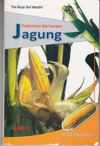 Pedoman Bertanam Jagung