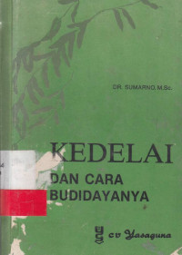 Kedelai Dan Cara Budidayanya