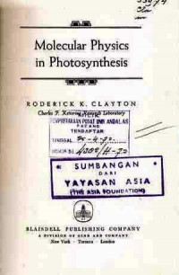 Molecular Physics In Photosynthesis