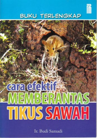 Cara Efektif Memberantas Tikus sawah