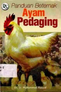 Panduan Beternak Ayam Pedaging