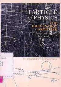 Particle Physics the High Energy Frontier