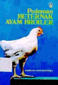 Pedoman Beternak Ayam Broiler