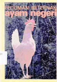 Pedoman Beternak Ayam Negeri