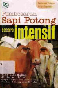 Pembesaran Sapi Potong Secara Intensif