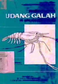 Pemeliharaan Udang Galah Di Kolam Air Tawar