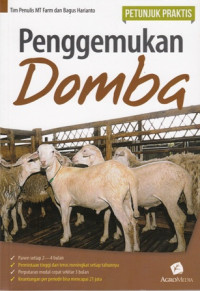 Penggemukan Domba