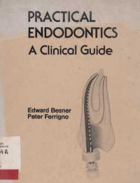 Practical Endodontics  A Clinical Guide