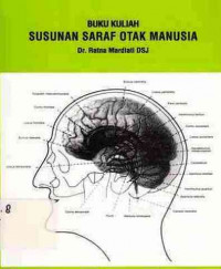 Susunan Saraf Otak Manusia