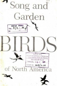 Song and garden Birds of North America