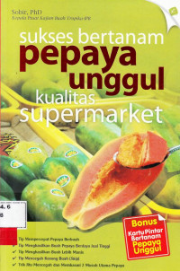 Sukses bertanam pepaya unggul kualitas supermarket