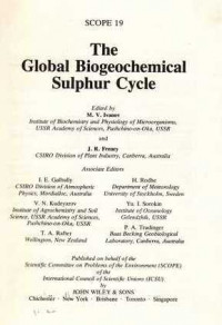 THE GLOBAL Biogeochemical Sulphur Cycle