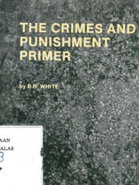 The Crimes and Punishment Primer