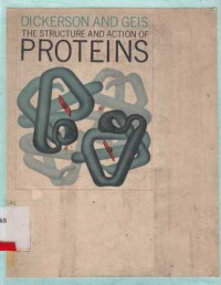 The Structure And Action Of Proteins