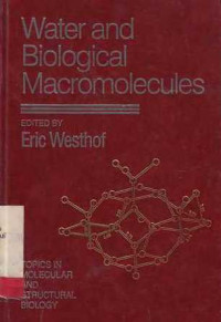 Water and Biological Macromolecules