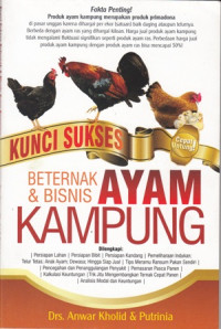 Kunci sukses Beternak dan Bisnis ayam Kampung