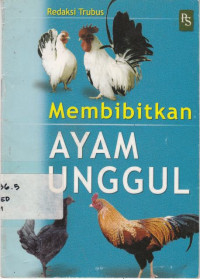 Membibitkan Ayam Unggul