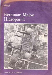 Bonus Bertanam Melon Hidroponik