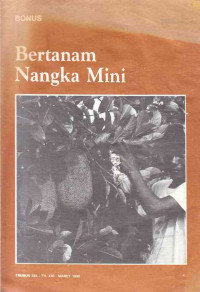 Bonus Bertanam Nangka Mini