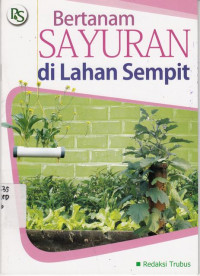 Bertanam Sayuran di Lahan Sempit