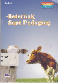 Beternak Sapi Pedaging