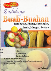 Budi Daya Buah-Buahan : Rambutan Pisang semangka Mangga Pepaya