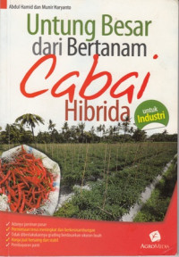 Untung Besar dari Bertanam Cabai Hibrida