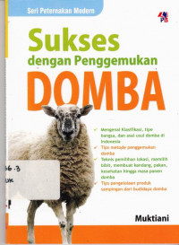 Sukses Dengan penggemukan Domba