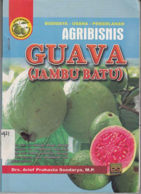 Budidaya -Usaha -Pengolahan:Agribisnis Guava (Jambu Batu)