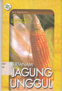 Bertanam Jagung Unggul