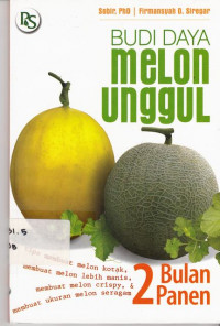 Budi Daya Melon Unggul